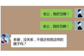 双城为什么选择专业追讨公司来处理您的债务纠纷？